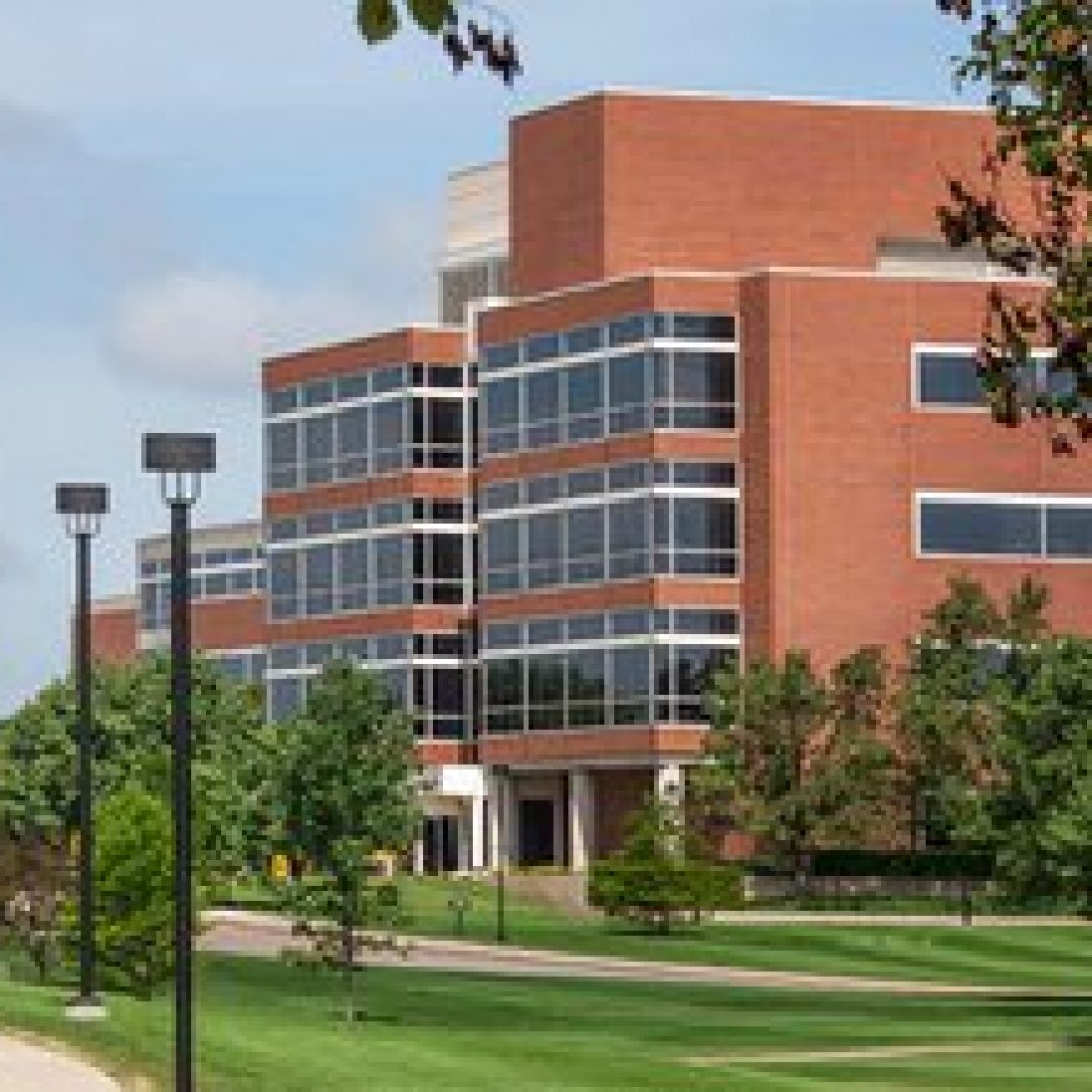 Grafton College, Ireland foto grafton college, ireland