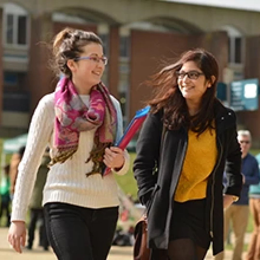 University of Sussex