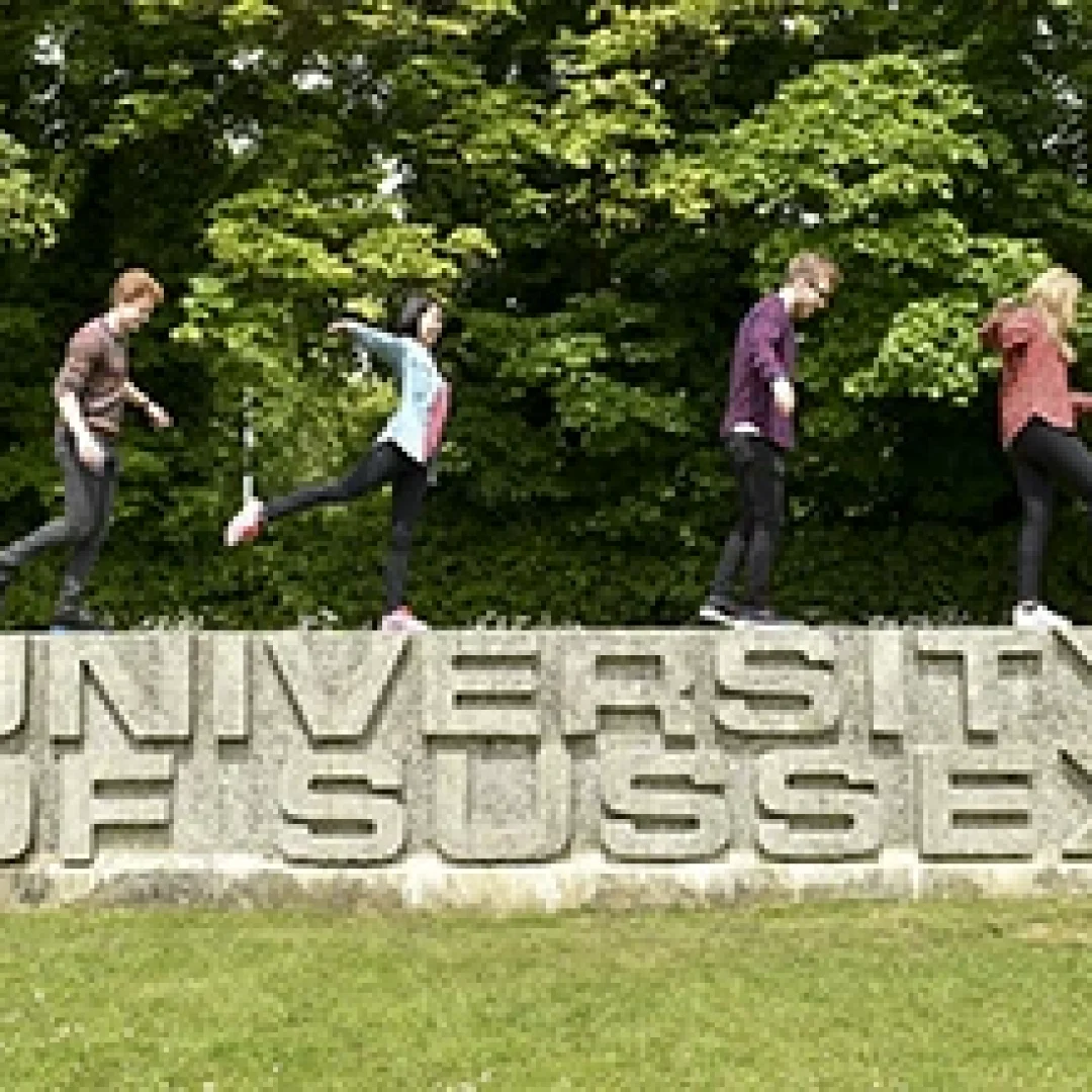 University of Sussex