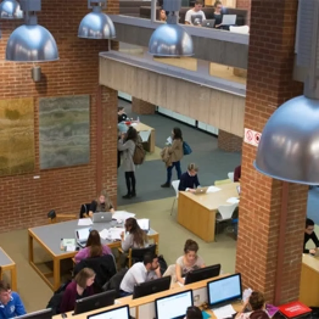 University of Sussex