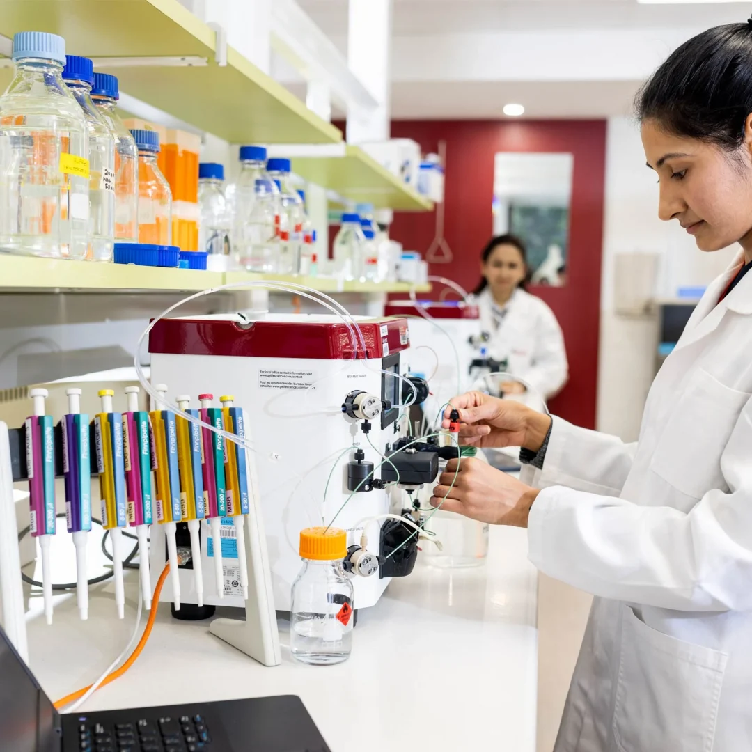 penelitian mahasiswa di la trobe university, australia