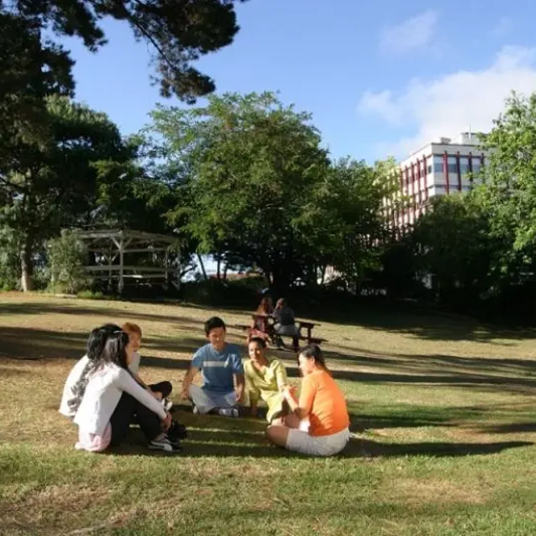 Auckland Institute Of Studies New Zealand