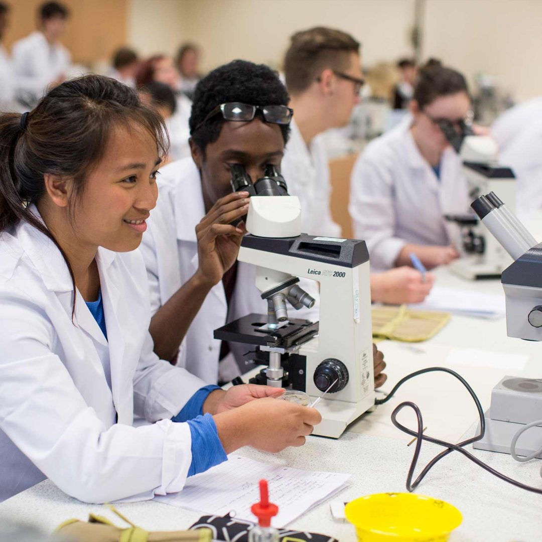 Aberystwyth University, United Kingdom aberystwyth university, united kingdom