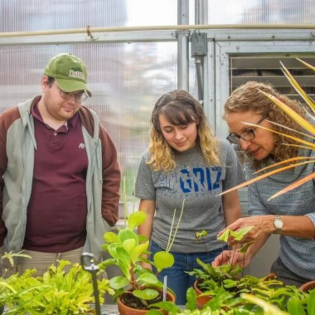 Franklin College, United Kingdom Franklin College, United Kingdom