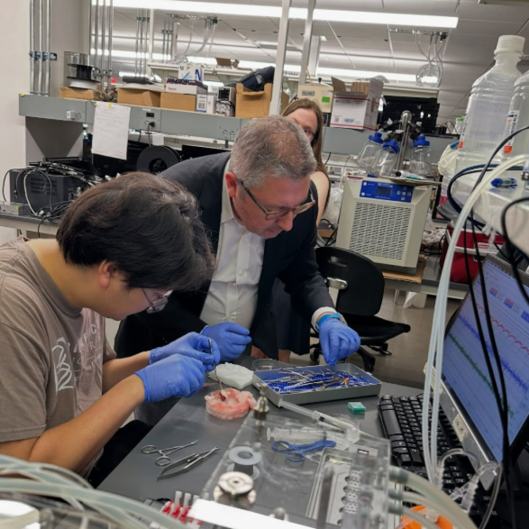 Carnegie Mellon University, Australia 1