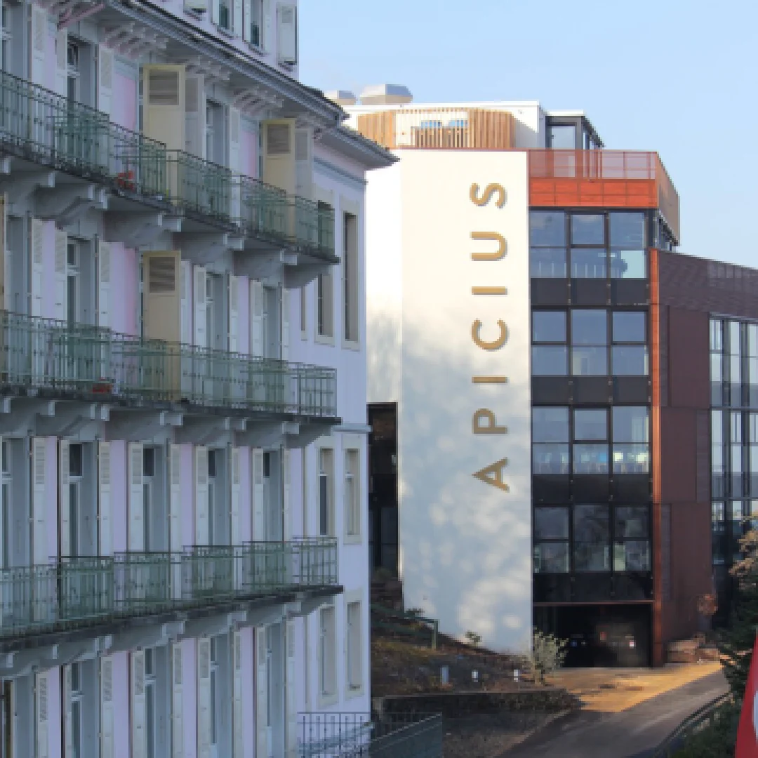 Culinary Arts Academy Switzerland -