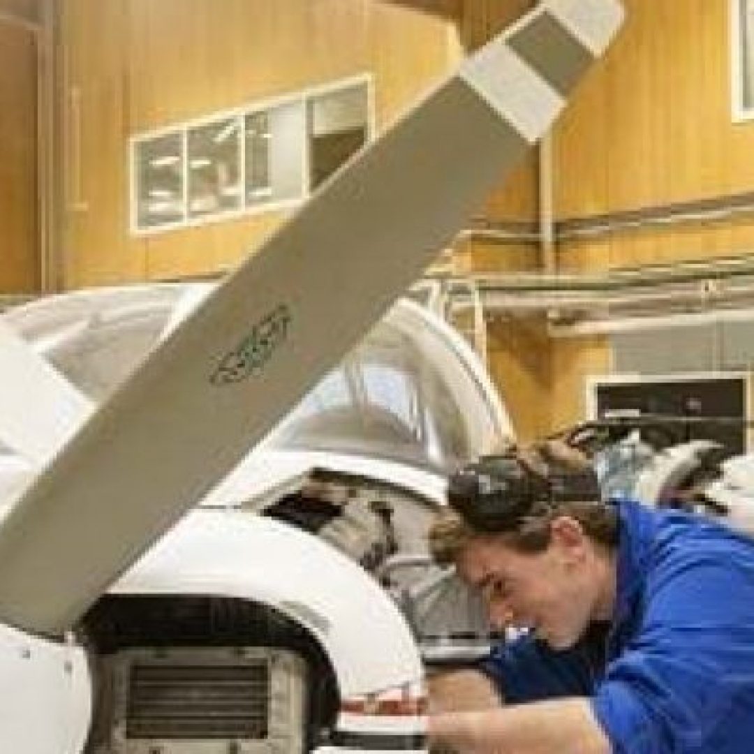 DSC05337-295x333-1-pvgsw6efarmybb4kjdxhfzrzsz84uil7bxa45elvog