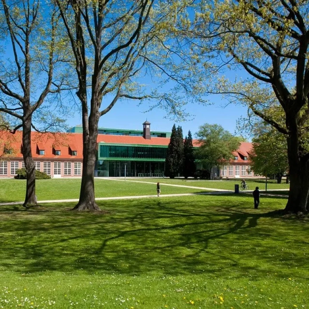 Foto Constructor University Jerman