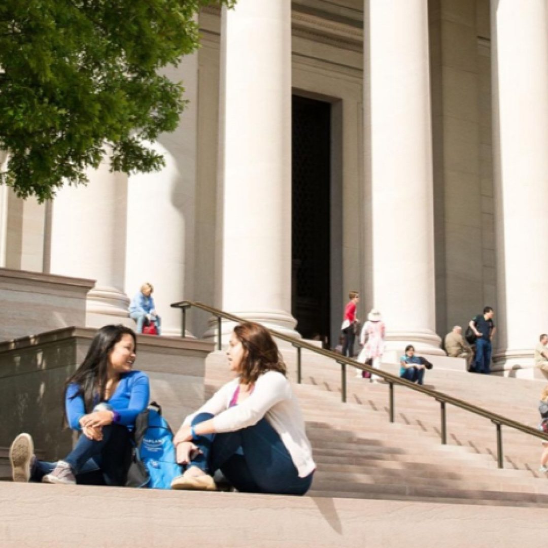 Counseling and Wellness Services