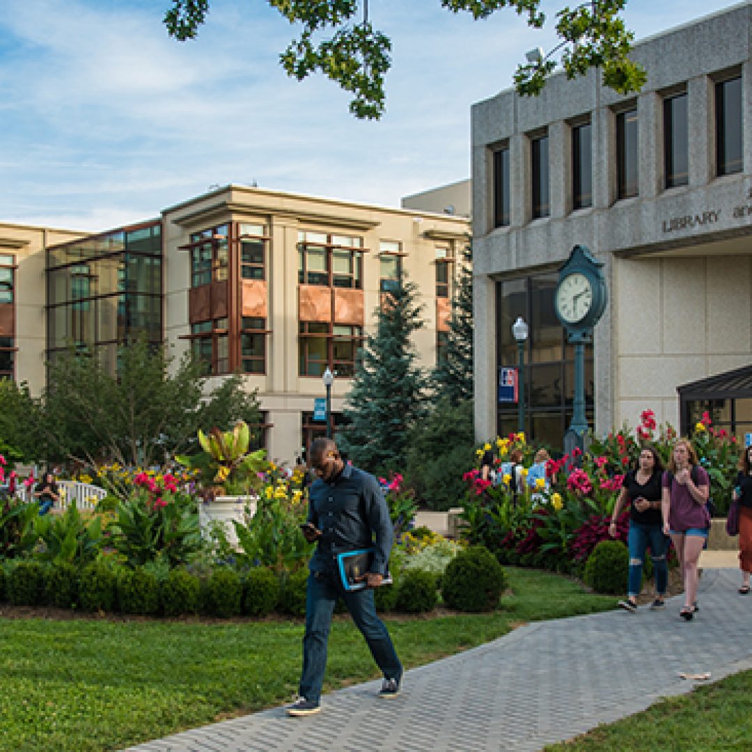 american university, usa