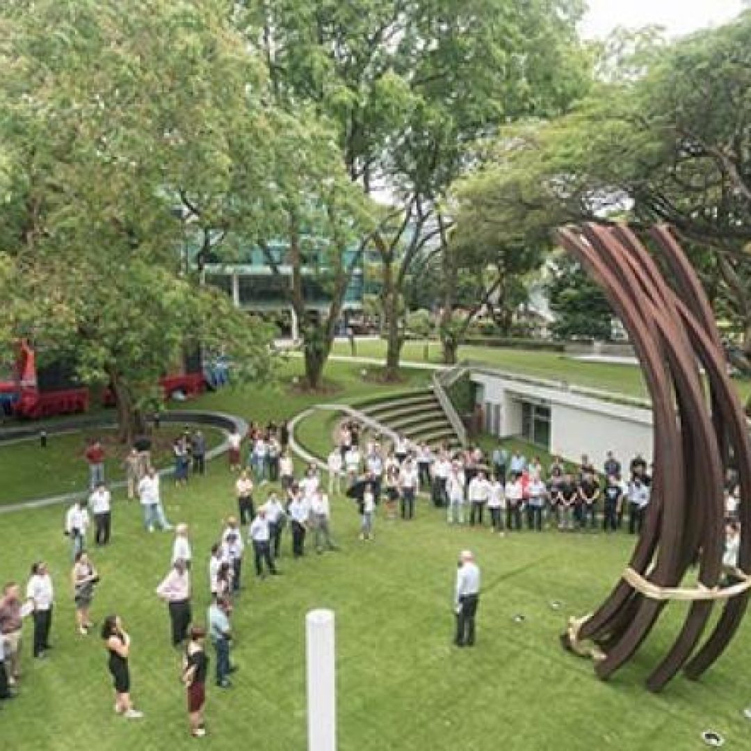 The-Next-Chapter_Photo-19-5-17,-13-10-09-PM