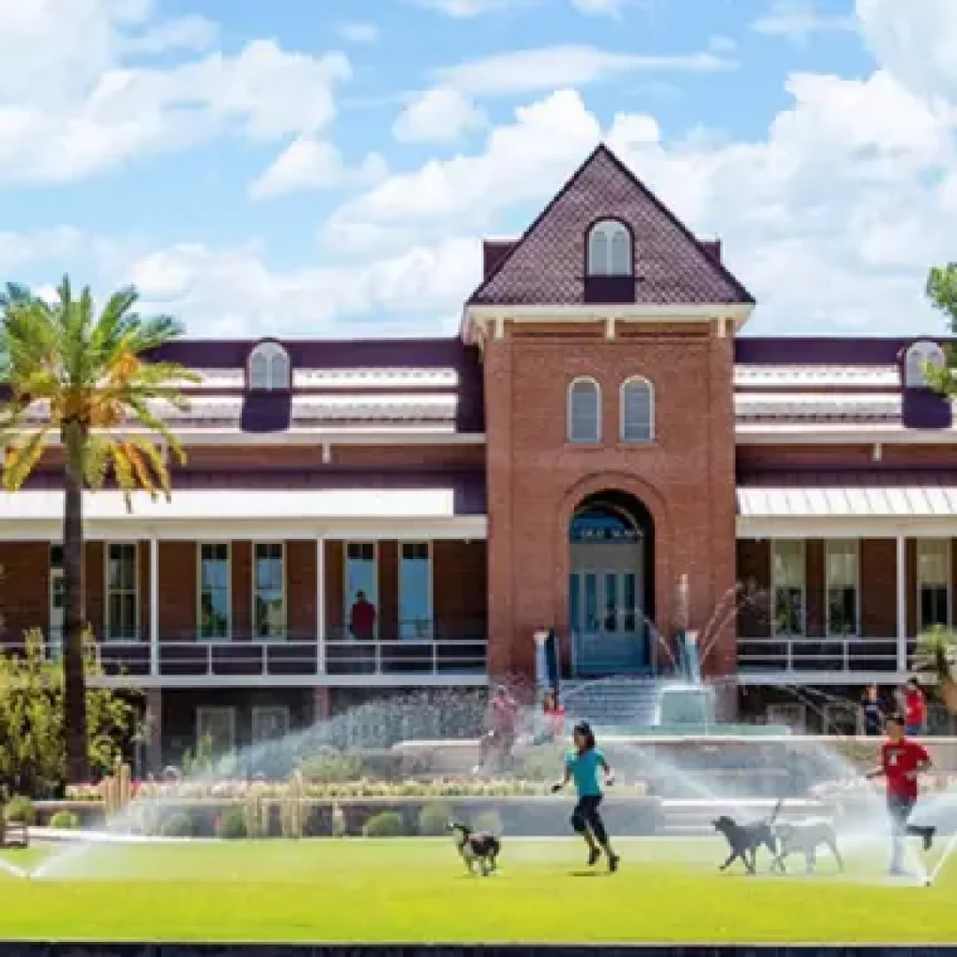 The University of Arizona