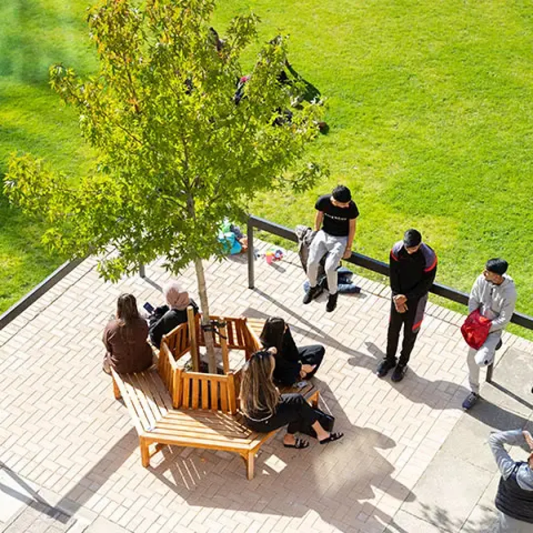 University Of Bradford