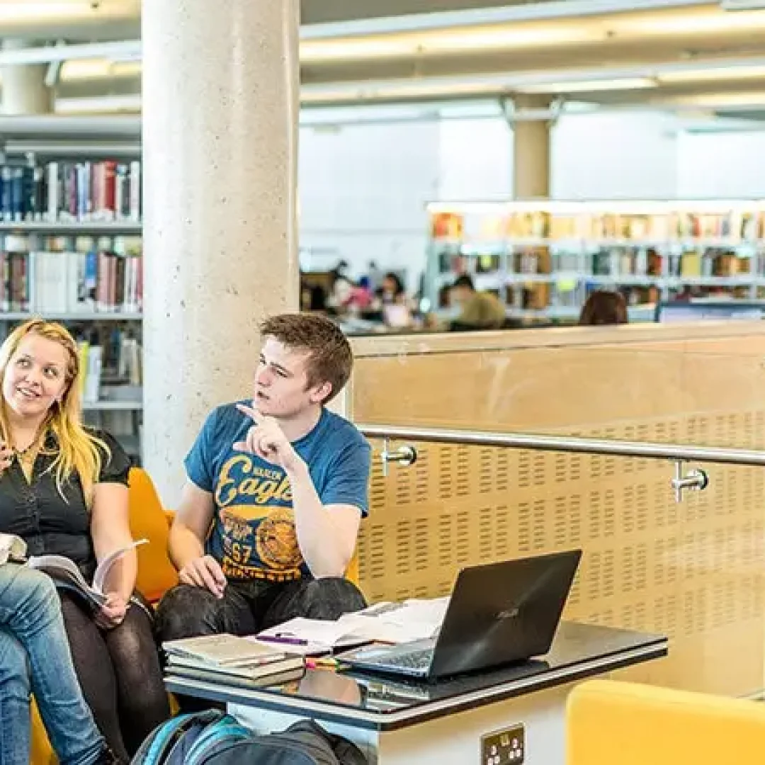 University Of Sheffield