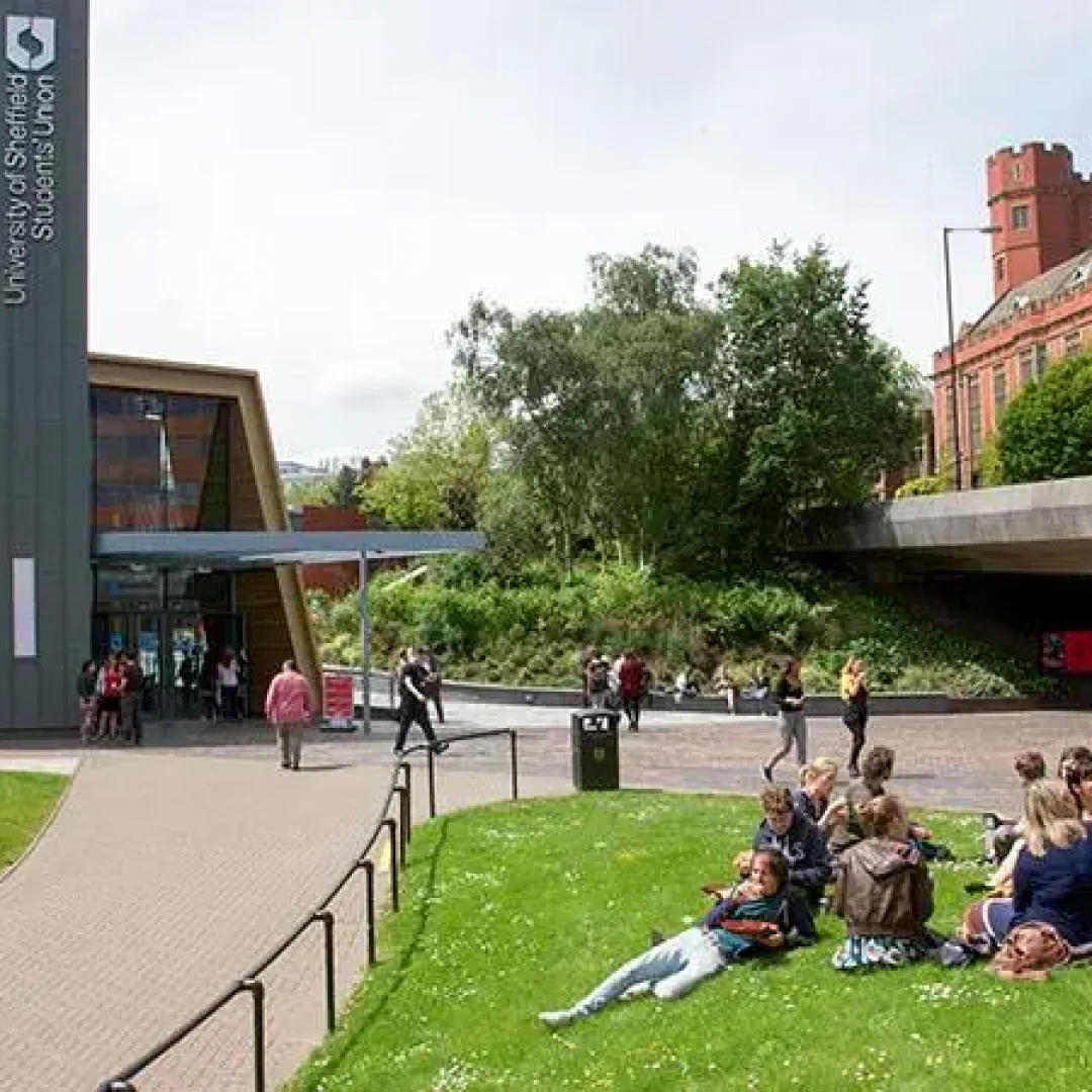 University Of Sheffield
