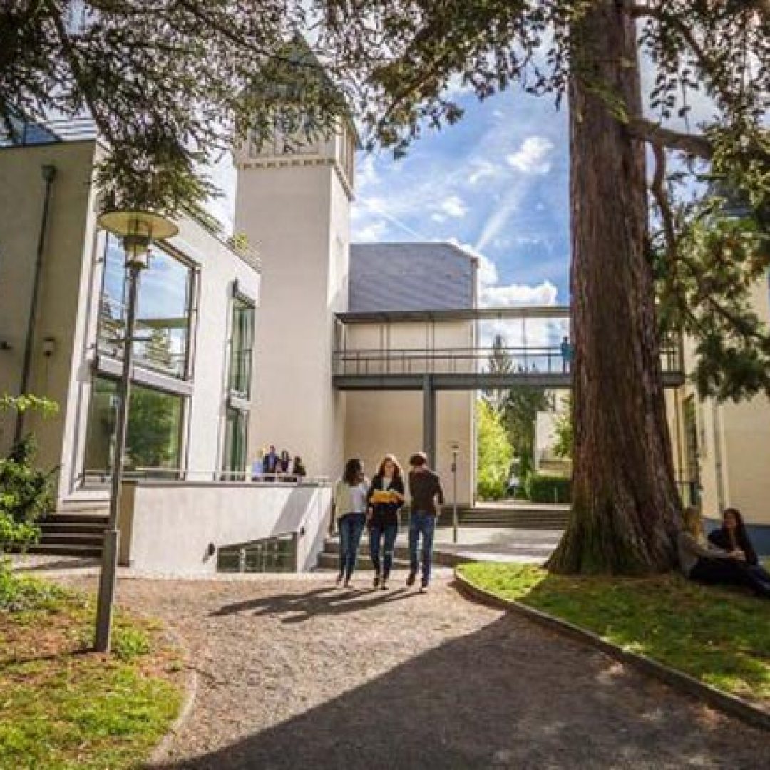 iubh school of business and management, jerman