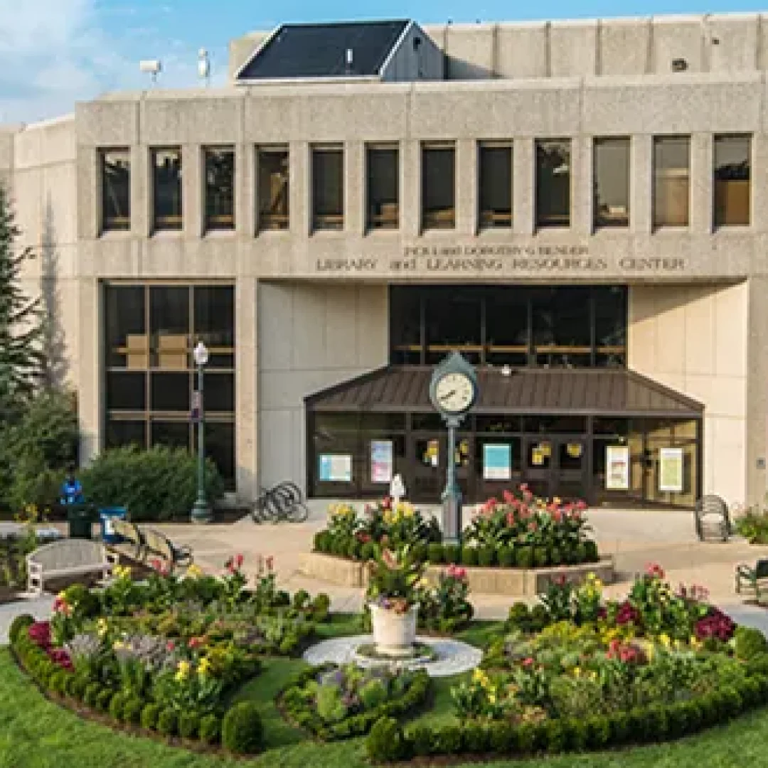 American University, USA