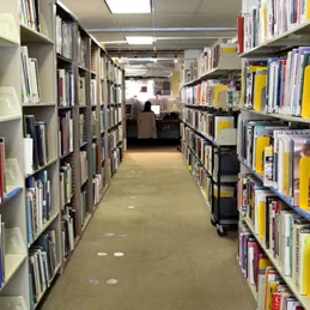 Library Academy of Art University, Usa