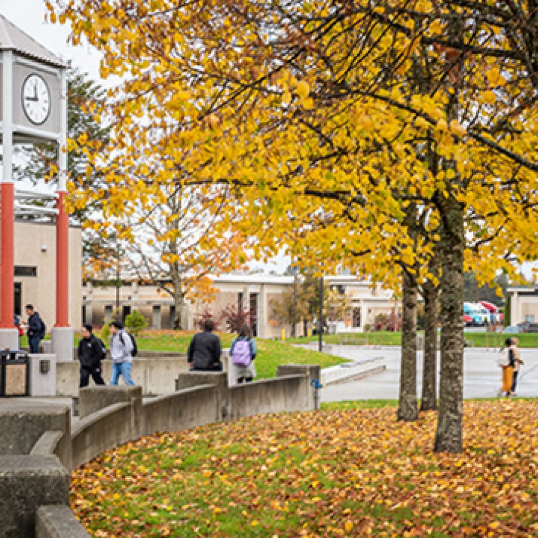 south seattle community college, usa