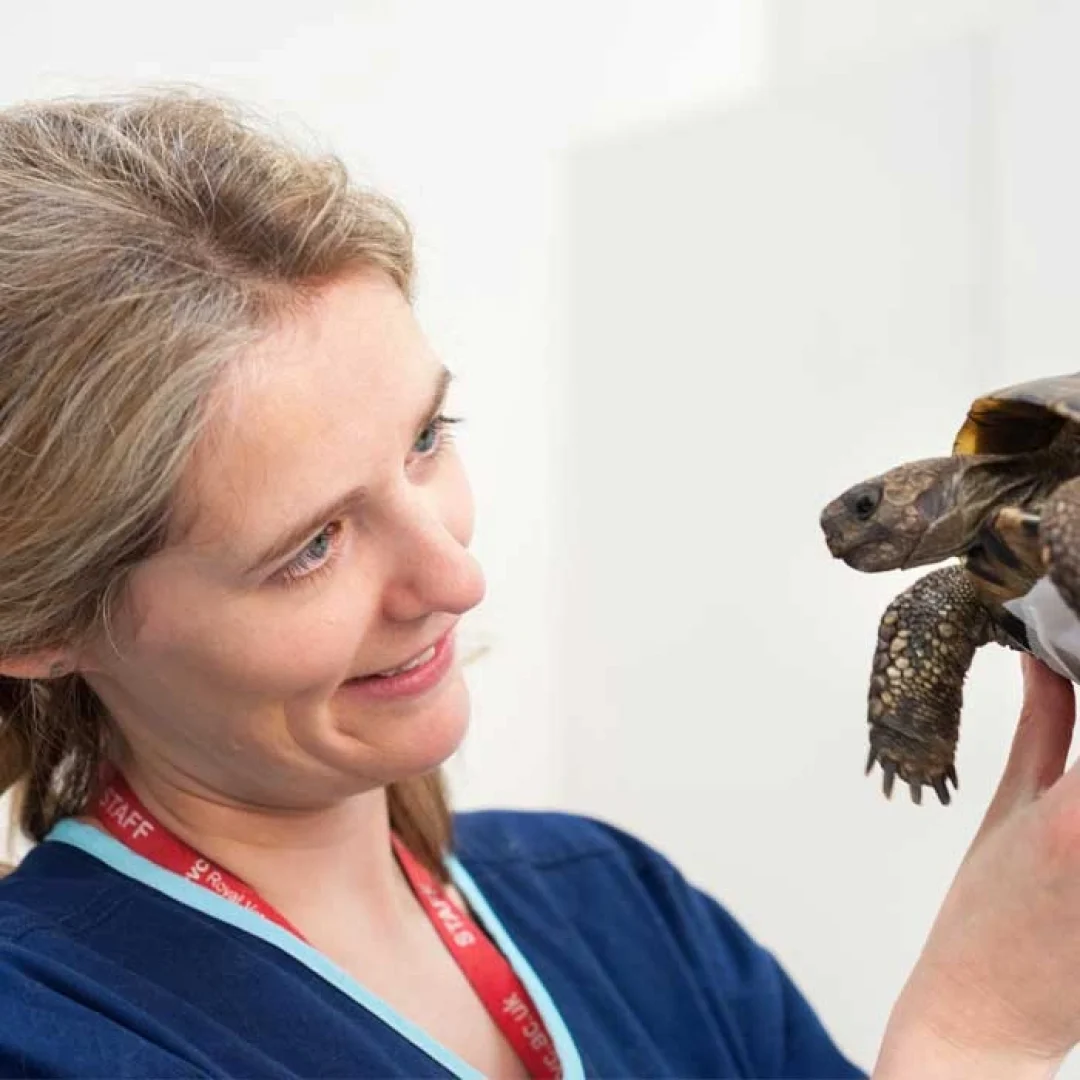 Royal Veterinary College (RVC), University of London Royal Veterinary College (RVC), University of London