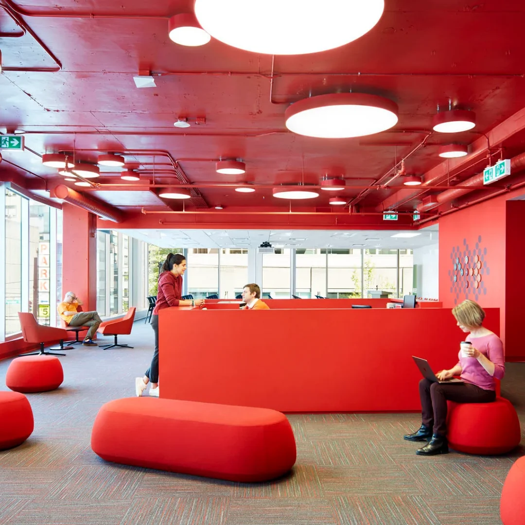 foto 2 adler university