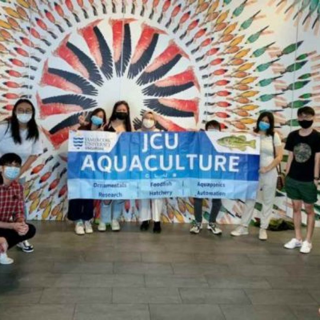 jcu-singapore-4-q2wm8n3smjktv7rmos9glxfvgid658qckbhi1l2ysg