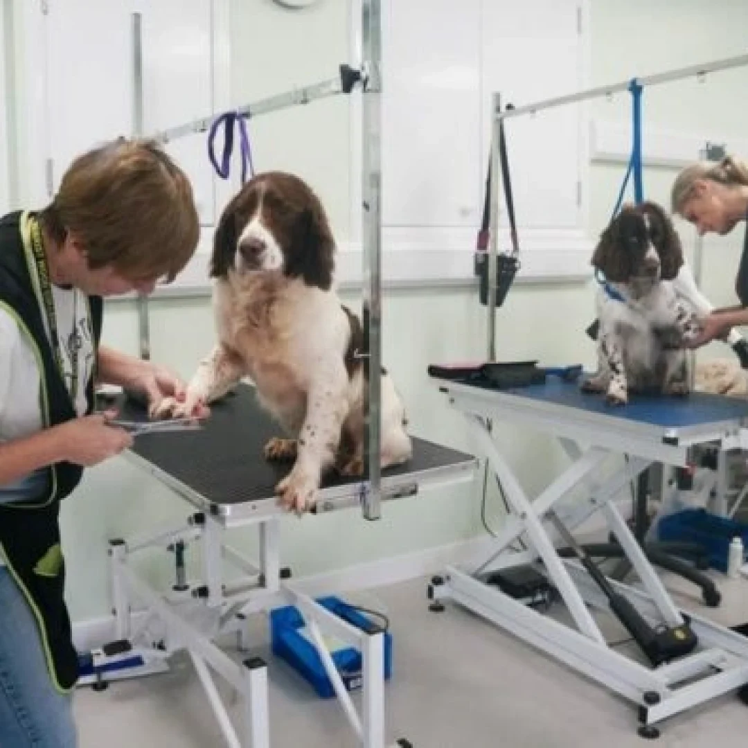 Guildford College Group