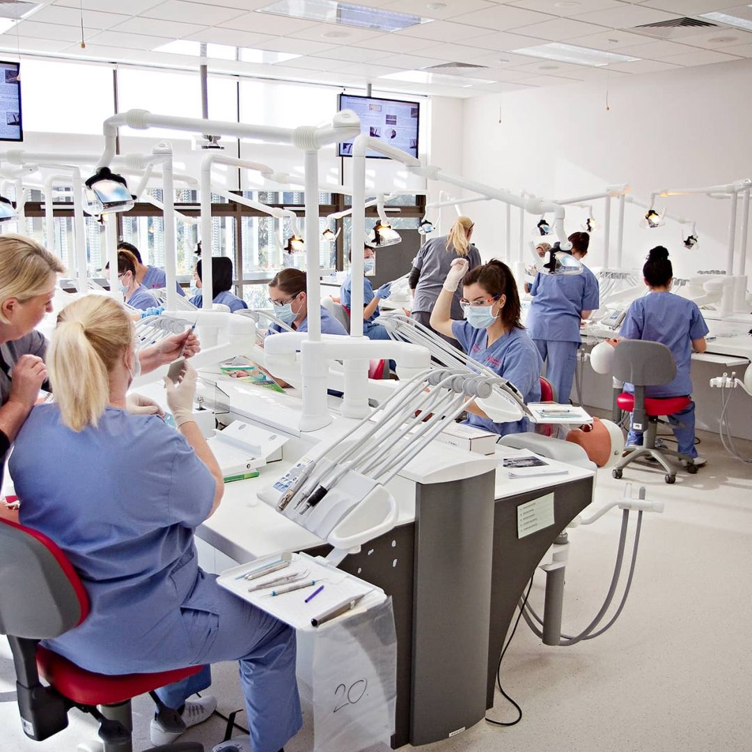 jurusan dental studies