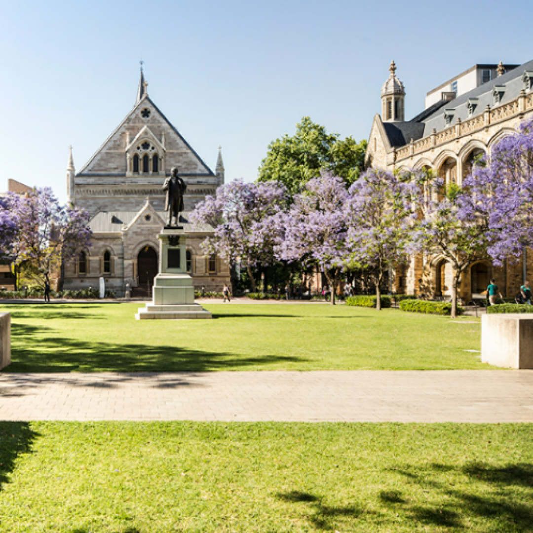 the university adelaide 1 the university adelaide 1
