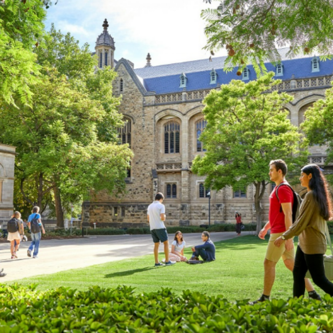 the university adelaide 2 the university adelaide 2