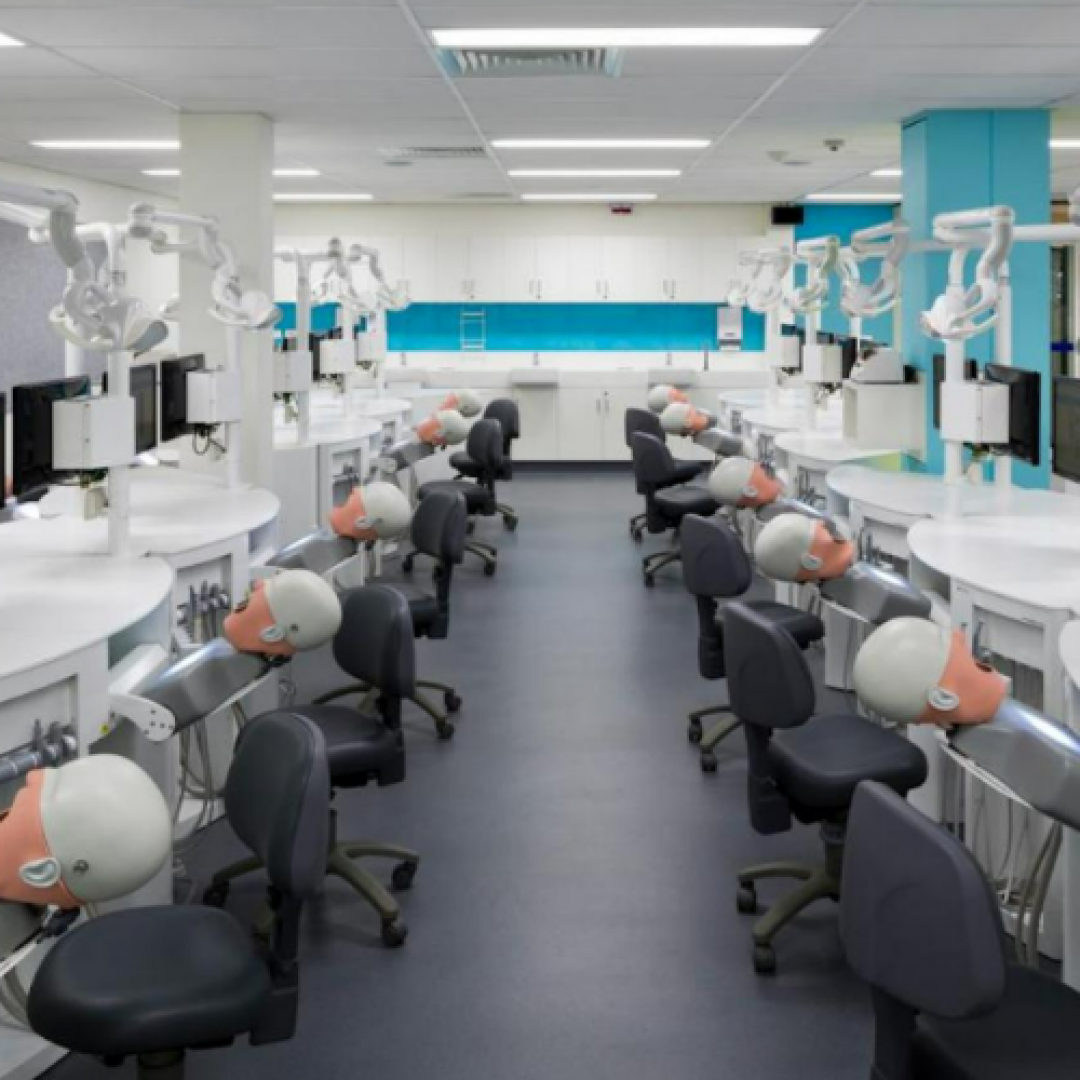 the university adelaide 3 the university adelaide 3