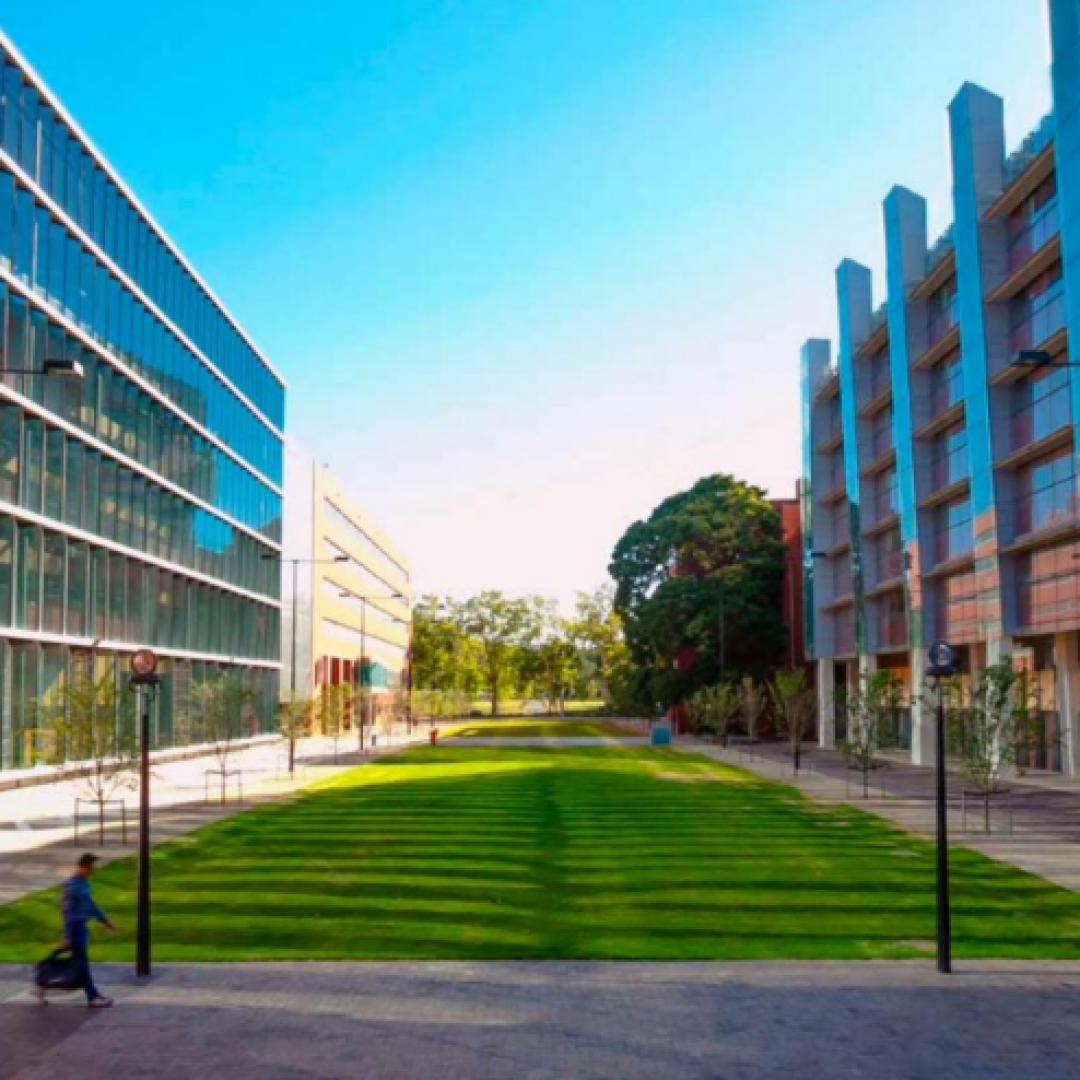 the university adelaide 4 the university adelaide 4