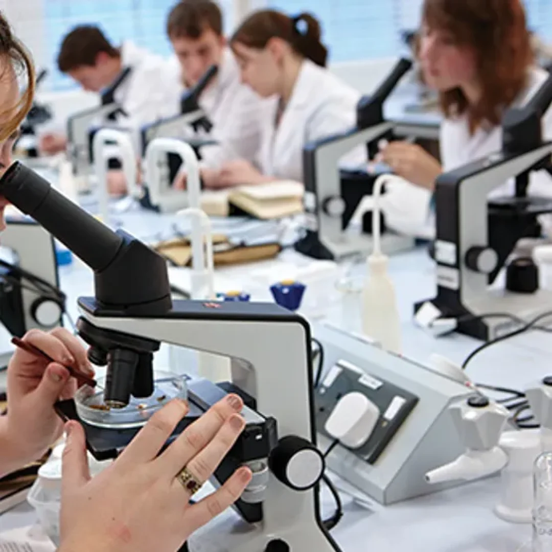 undergraduate-biochemistrygenetics